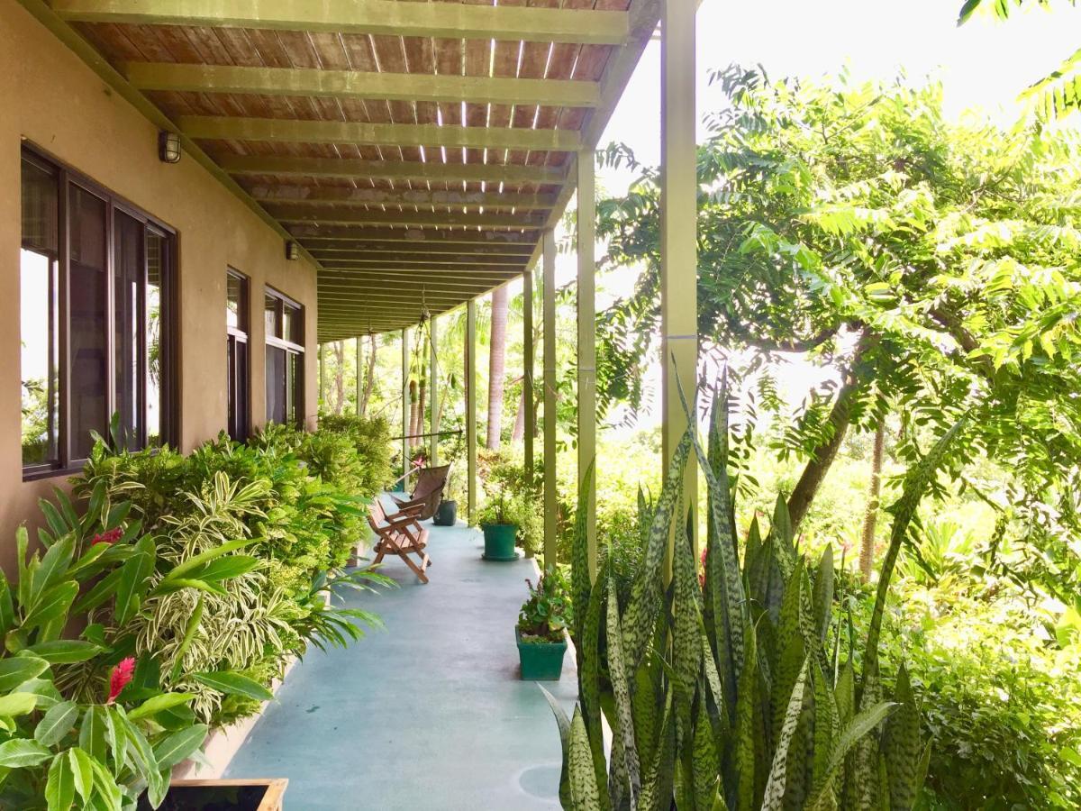 Santa Teresa Surf Vista Villas Playa Santa Teresa  Exteriér fotografie